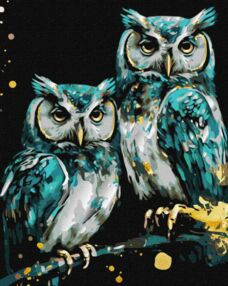 Розпис по номерах 40х50 КНО6514 Мудрі совушки з фарбами металік "Ідейка"