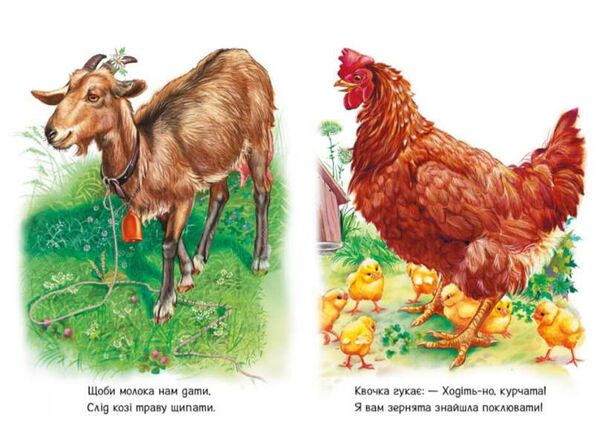 малятам про звіряток поруч з нами Ціна (цена) 82.90грн. | придбати  купити (купить) малятам про звіряток поруч з нами доставка по Украине, купить книгу, детские игрушки, компакт диски 2