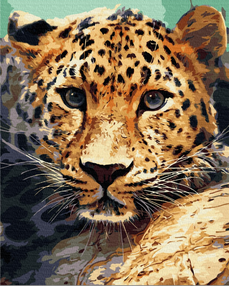 Розпис по номерах 40х50 BS51736 Портрет леопарда brushme Брашми