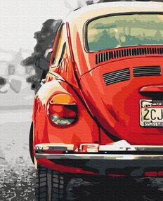 Розпис по номерах 40х50 BS52404 Червоне ретро brushme Брашми