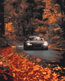 Розпис по номерах 40х50 BS53291 Осіння дорога brushme Брашми