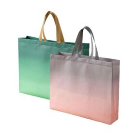 Сумка шопер 32 х 27 х 10 см в асортименті 63-1-8