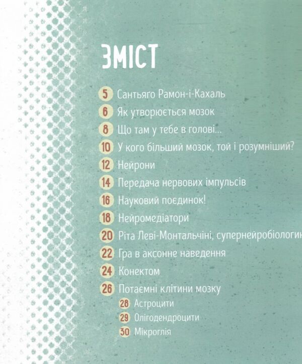 дітям про науку як працює людський мозок Ціна (цена) 233.80грн. | придбати  купити (купить) дітям про науку як працює людський мозок доставка по Украине, купить книгу, детские игрушки, компакт диски 2