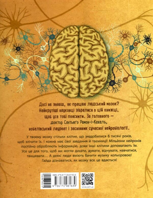 дітям про науку як працює людський мозок Ціна (цена) 233.80грн. | придбати  купити (купить) дітям про науку як працює людський мозок доставка по Украине, купить книгу, детские игрушки, компакт диски 7