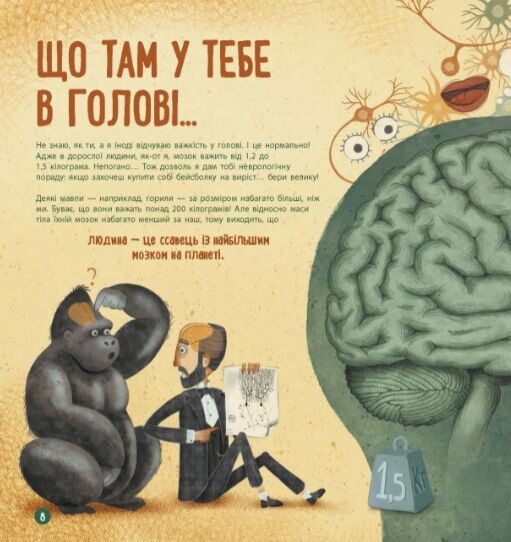 дітям про науку як працює людський мозок Ціна (цена) 233.80грн. | придбати  купити (купить) дітям про науку як працює людський мозок доставка по Украине, купить книгу, детские игрушки, компакт диски 4