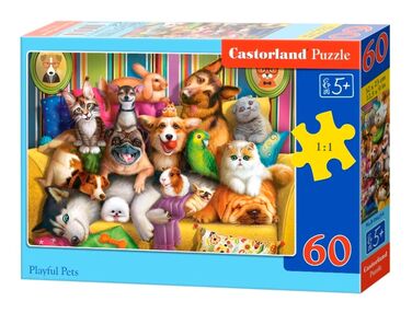 пазли castorland 60 елементів фото на память 066254