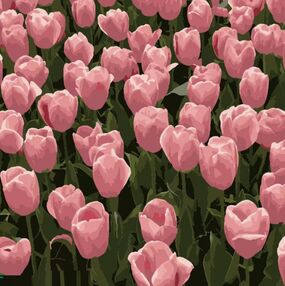 Розпис по номерах 20х20 HH5113 Рожеві тюльпани "Strateg"