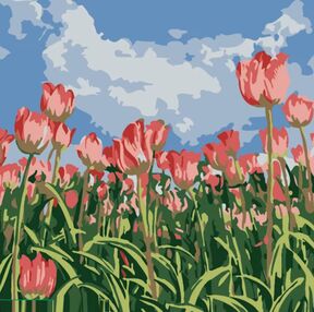 Розпис по номерах 20х20 HH5181 Поле тюльпанів "Strateg"