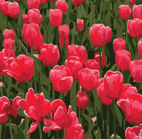 Розпис по номерах 20х20 HH5367 Тюльпани "Strateg"