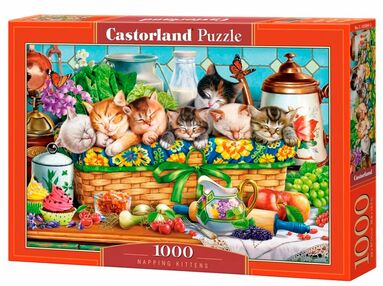 пазли castorland 1000 елементів дрімаючі кошенята 105069