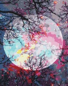 Розпис по номерах 40х50 BS51423 З видом на місяць brushme Брашми