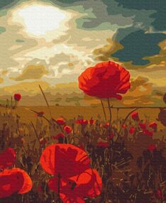 Розпис по номерах 40х50 BS51961 Маки під палаючим сонцем brushme Брашми