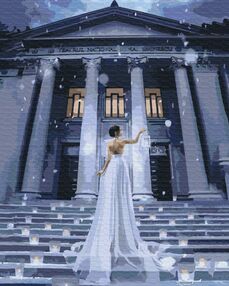 Розпис по номерах 40х50 BS52707 Вогні свята