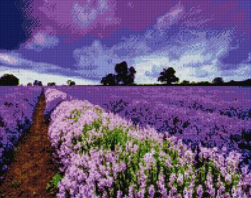 Алмазна мозаїка 40х50 GF3629 Lavander field brushme Брашми