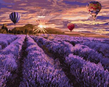 Розпис по номерах 40х50 КНО2839 Квітуча лаванда "Ідейка"