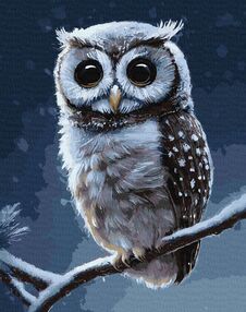 Розпис по номерах 40х50 КНО4457 Лісова совушка "Ідейка"