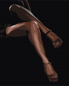 Розпис по номерах 40х50 BS52462  Граційна пристрасть  brushme Брашми