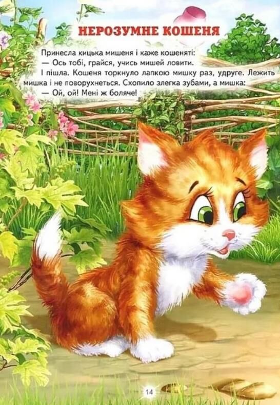 улюблені українські казки Белкар Ціна (цена) 222.90грн. | придбати  купити (купить) улюблені українські казки Белкар доставка по Украине, купить книгу, детские игрушки, компакт диски 4