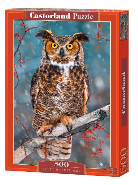 пазли castorland 500 елементів great homer owl 52387 Ціна (цена) 160.40грн. | придбати  купити (купить) пазли castorland 500 елементів great homer owl 52387 доставка по Украине, купить книгу, детские игрушки, компакт диски 0