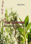 Ліки під ногами Про лікування рослинами Ціна (цена) 140.90грн. | придбати  купити (купить) Ліки під ногами Про лікування рослинами доставка по Украине, купить книгу, детские игрушки, компакт диски 0