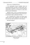 10 розмов про Історію України Ціна (цена) 251.80грн. | придбати  купити (купить) 10 розмов про Історію України доставка по Украине, купить книгу, детские игрушки, компакт диски 4