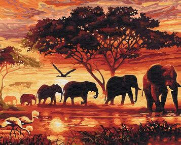 Розпис по номерах 40х50 BS5189 Слони в савані