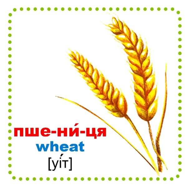 Розумні картки із чого це зроблено 30 карток дорогі Ціна (цена) 110.79грн. | придбати  купити (купить) Розумні картки із чого це зроблено 30 карток дорогі доставка по Украине, купить книгу, детские игрушки, компакт диски 4