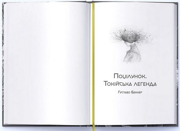 Любов та потойбіччя Збірка готичної прози Ціна (цена) 525.00грн. | придбати  купити (купить) Любов та потойбіччя Збірка готичної прози доставка по Украине, купить книгу, детские игрушки, компакт диски 1