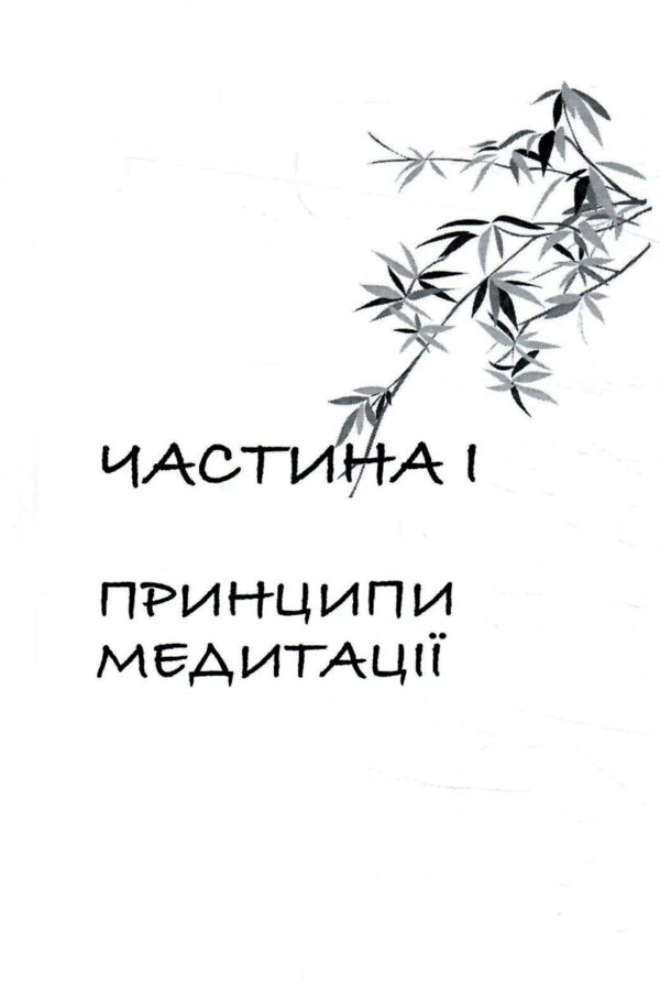 Японський секрет спокою Ціна (цена) 361.60грн. | придбати  купити (купить) Японський секрет спокою доставка по Украине, купить книгу, детские игрушки, компакт диски 5