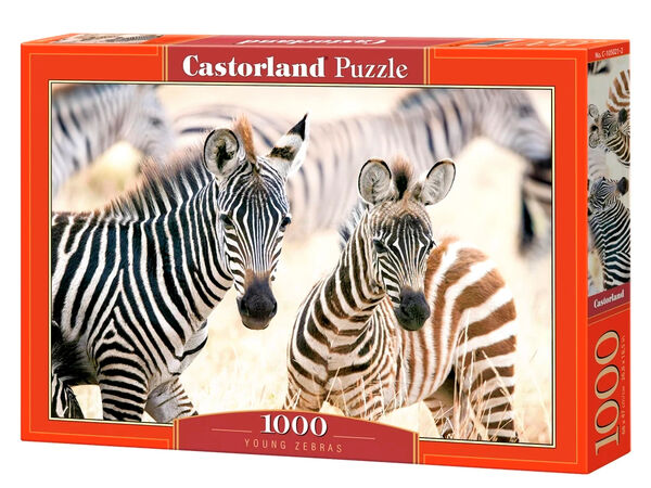пазли 1000 ел 105021 Young Zebras Ціна (цена) 228.00грн. | придбати  купити (купить) пазли 1000 ел 105021 Young Zebras доставка по Украине, купить книгу, детские игрушки, компакт диски 0