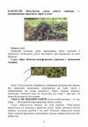Памятка снайпера Памятка стрільця  Уточнюйте  строки доставки (2-5 діб) Ціна (цена) 80.00грн. | придбати  купити (купить) Памятка снайпера Памятка стрільця  Уточнюйте  строки доставки (2-5 діб) доставка по Украине, купить книгу, детские игрушки, компакт диски 4