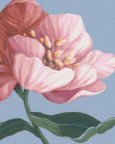 Розпис по номерах 40х50 BS53759 Квітни brushme Брашми