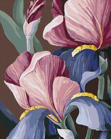 Розпис по номерах 40х50 BS53760 metallic\флуоресцентні Півники  brushme Брашми