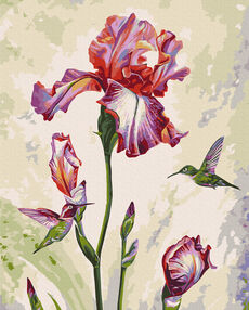 Розпис по номерах 40х50 BS53924  Ранкове побачення brushme Брашми