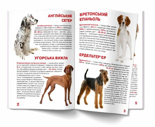 велика книжка мисливські собаки Ціна (цена) 35.40грн. | придбати  купити (купить) велика книжка мисливські собаки доставка по Украине, купить книгу, детские игрушки, компакт диски 1