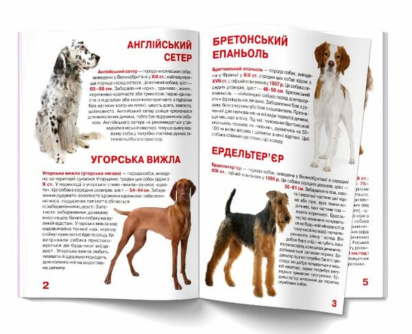 велика книжка мисливські собаки Ціна (цена) 35.40грн. | придбати  купити (купить) велика книжка мисливські собаки доставка по Украине, купить книгу, детские игрушки, компакт диски 2