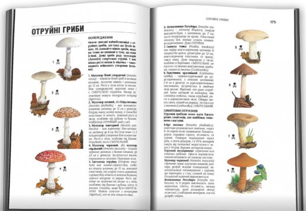 SAS Найкращий посібник із виживання Ціна (цена) 929.30грн. | придбати  купити (купить) SAS Найкращий посібник із виживання доставка по Украине, купить книгу, детские игрушки, компакт диски 1