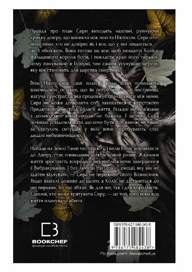 Плоть і вогонь Книга 2 Світло у пломені Ціна (цена) 314.87грн. | придбати  купити (купить) Плоть і вогонь Книга 2 Світло у пломені доставка по Украине, купить книгу, детские игрушки, компакт диски 1