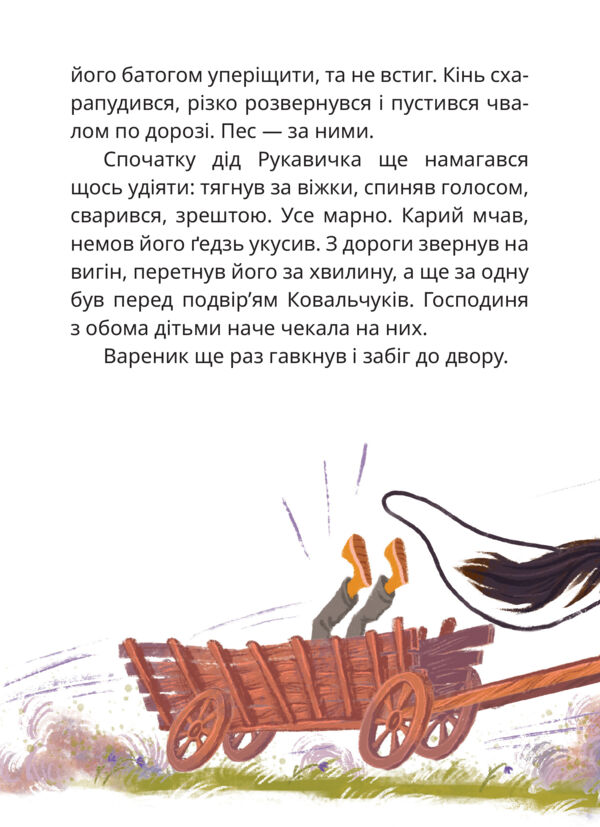Мері казкова повість Ціна (цена) 284.80грн. | придбати  купити (купить) Мері казкова повість доставка по Украине, купить книгу, детские игрушки, компакт диски 13