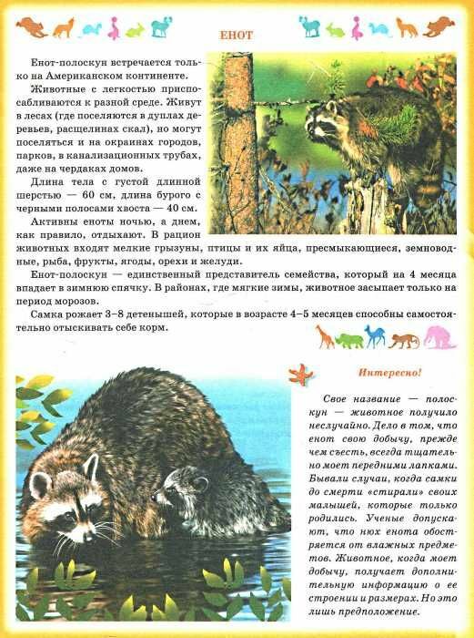 мир животных книгаПроминь Ціна (цена) 265.40грн. | придбати  купити (купить) мир животных книгаПроминь доставка по Украине, купить книгу, детские игрушки, компакт диски 1