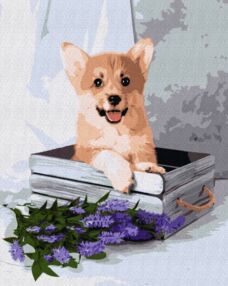 Розпис по номерах 40х50 BS52653 Грайливий коргі brushme Брашми