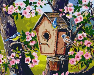 Розпис по номерах 40х50 КНО6507 Новосілля для пташок "Ідейка"