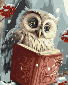 Розпис по номерах 40х50 КНО6557 Розумна совушка "Ідейка"