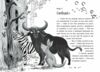 Ліс незвичайних тварин Ціна (цена) 164.70грн. | придбати  купити (купить) Ліс незвичайних тварин доставка по Украине, купить книгу, детские игрушки, компакт диски 3