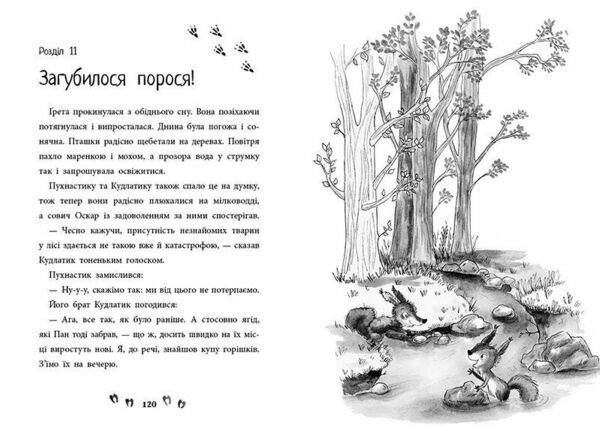 Ліс незвичайних тварин Ціна (цена) 164.70грн. | придбати  купити (купить) Ліс незвичайних тварин доставка по Украине, купить книгу, детские игрушки, компакт диски 1