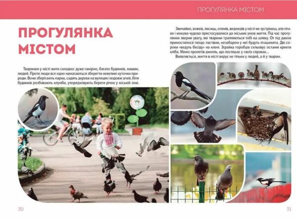 найкращий подарунок велика книга про тварин Ціна (цена) 322.00грн. | придбати  купити (купить) найкращий подарунок велика книга про тварин доставка по Украине, купить книгу, детские игрушки, компакт диски 5
