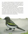 Майстерня чаклуна Мурахи повість-казка Ціна (цена) 291.60грн. | придбати  купити (купить) Майстерня чаклуна Мурахи повість-казка доставка по Украине, купить книгу, детские игрушки, компакт диски 4