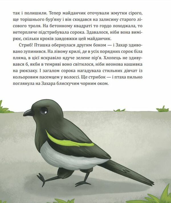 Майстерня чаклуна Мурахи повість-казка Ціна (цена) 291.60грн. | придбати  купити (купить) Майстерня чаклуна Мурахи повість-казка доставка по Украине, купить книгу, детские игрушки, компакт диски 4