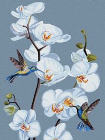 Розпис по номерах 30х40 КНО3241 Квітучі орхідеї "Ідейка"