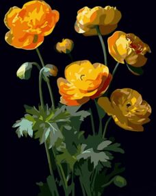 Розпис по номерах 40х50 AH1003 Жовті квіти на чорному фоні "Strateg"